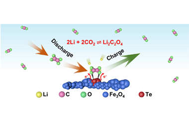 Te-doped Fe3O4 flower enables low overpotential cycling of Li−CO2 batteries at high current density 2024.100253